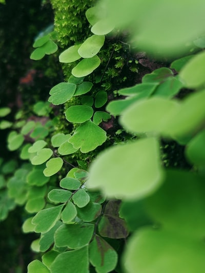 图聚科技